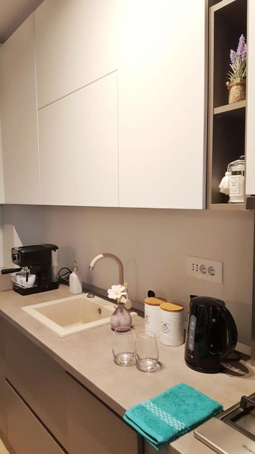 Elias Central Apartment - 2 Bedrooms & Free Parking Oradea Zewnętrze zdjęcie